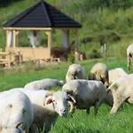 Goralskie Tatrzanski Zakatek زومب