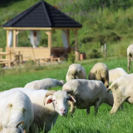 Goralskie Tatrzanski Zakatek Зомб